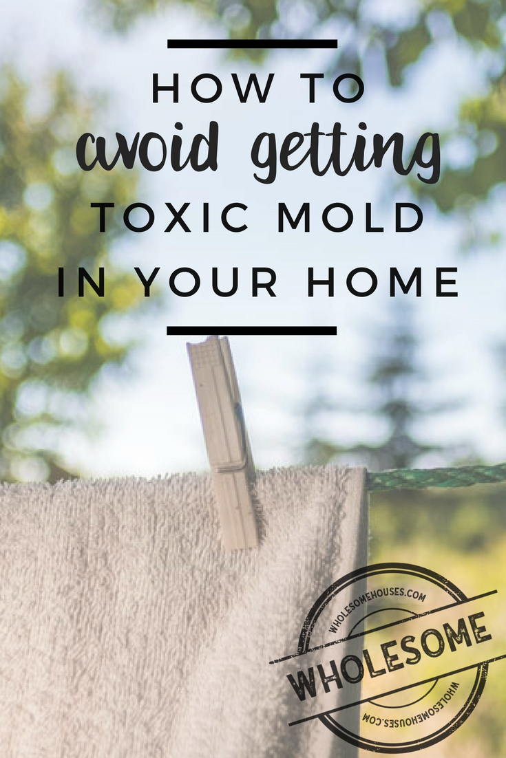 Wholesome Houses How to Prevent Toxic Mold at Home
